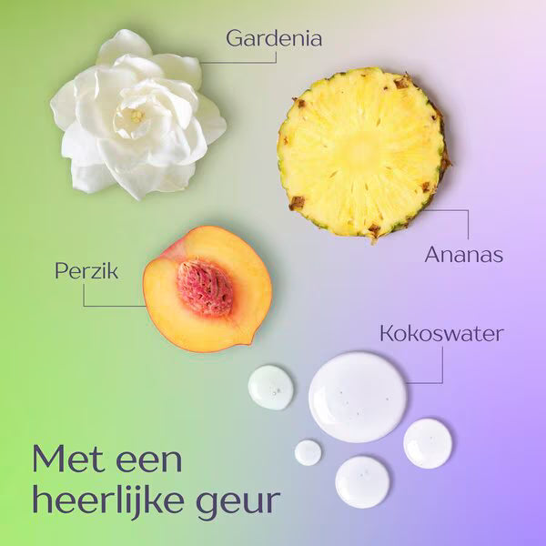 Andrelon Shampoo – Langer Fris 400 ml Andrelon